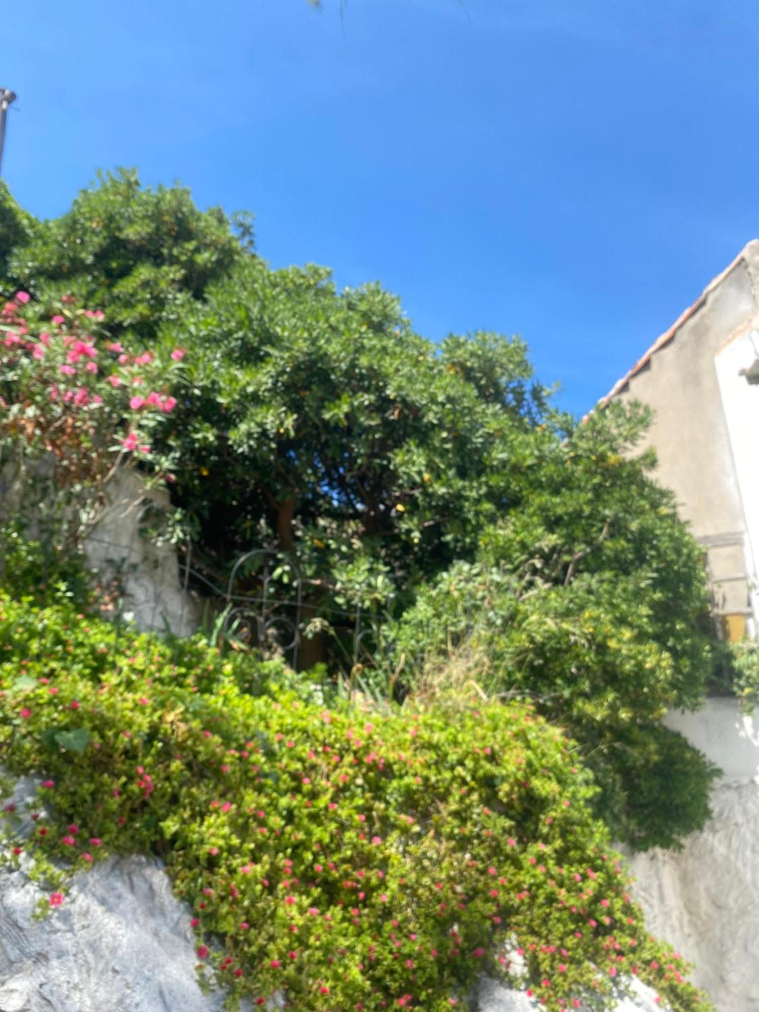 מרסיי Au Coeur Du Parc National Du Massif Des Calanques, La Flibuste Des Goudes, Maison 2 Chambres, Climatisee, Jardins, Solarium, Proche Plage, Large Vue Mer מראה חיצוני תמונה